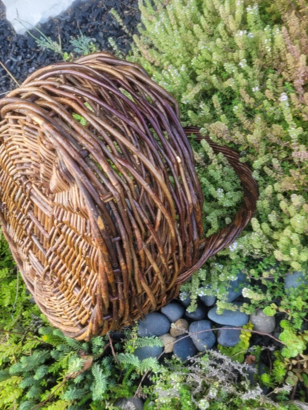 Large Dark Willow Gathering Basket with Arched Twisted Handle Handmade Vintage